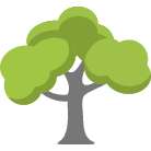 Redmond Tree Removal Service