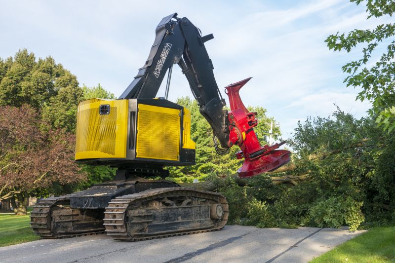 Tree Removal