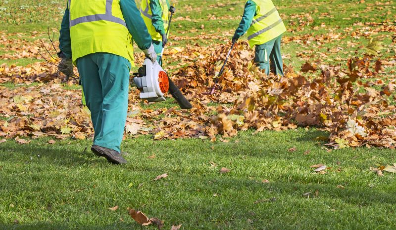 Blowing Leaves into Piles