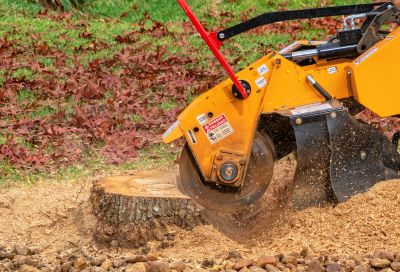 Tree Removal Equipment