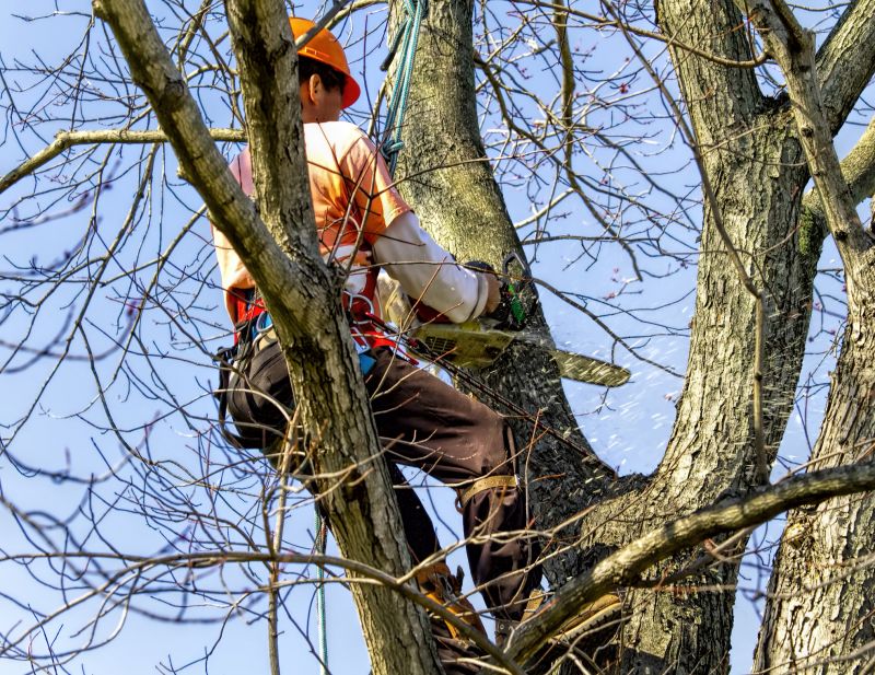 Safety Measures During Removal