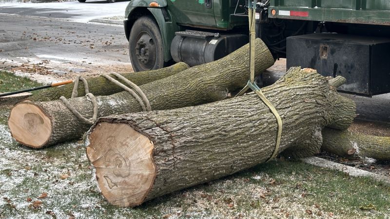 Land Clearing and Site Preparation