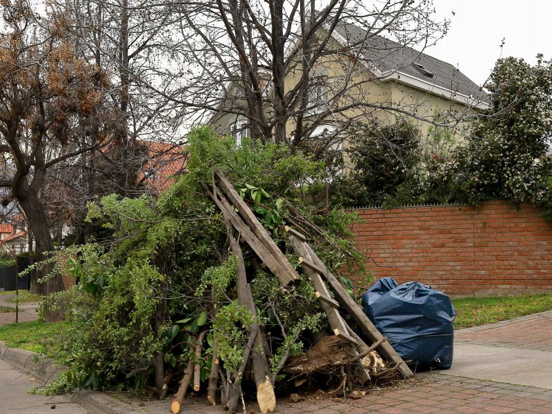 Environmental Considerations