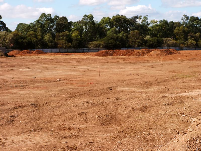 Land Clearing for Development